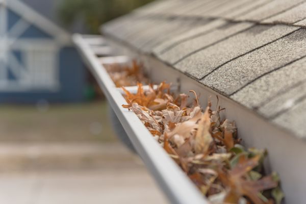 Leaf Barrier Installation in Zionsville
